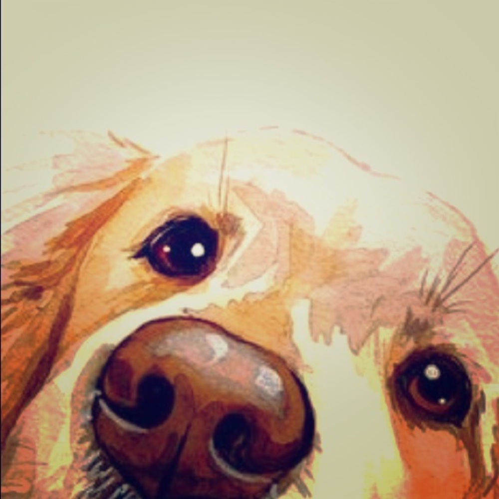 Meet your Posher, Jen